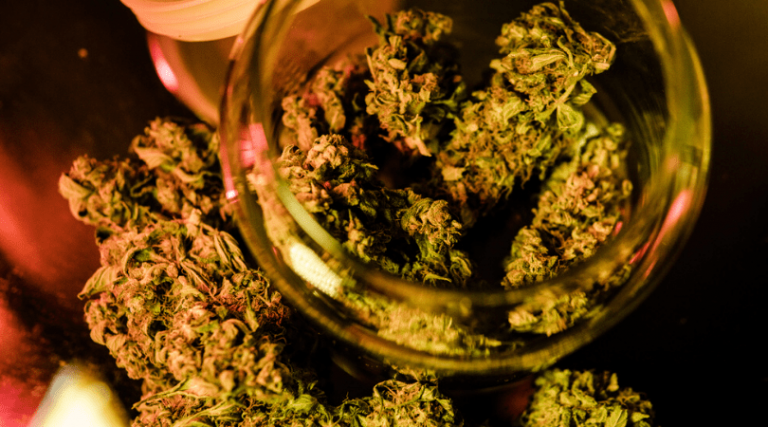 Taste and Smell of Your Buds: Maximized