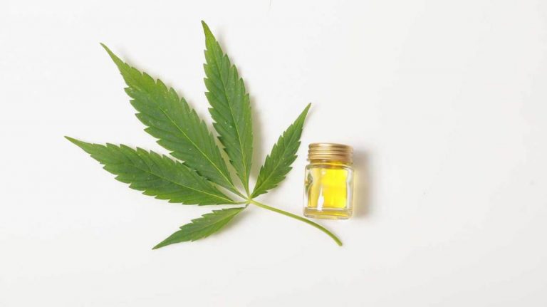 How Cbd Pain Cream Can Reduce Your Body Pain?