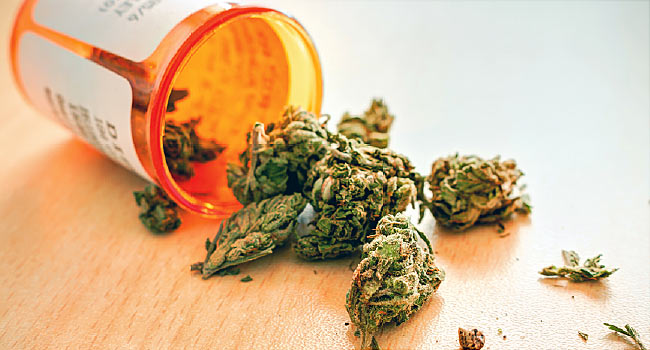 The use of cannabis for healthcare professionals & other people