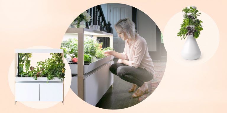 Indoor gardening structures: A buy grow kits online guide